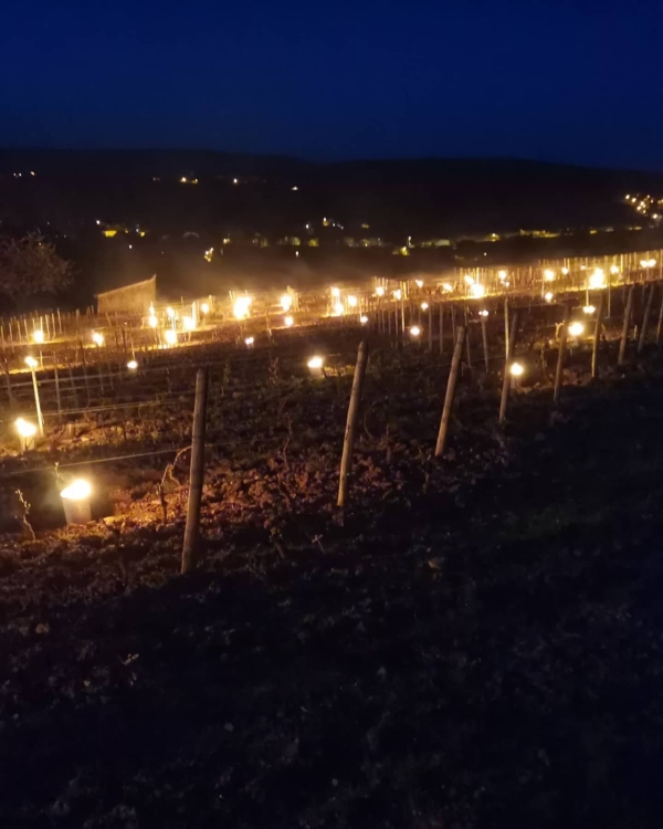 Flocon de neige et températures en berne... la nuit s'annonce longue pour la Saône et Loire 