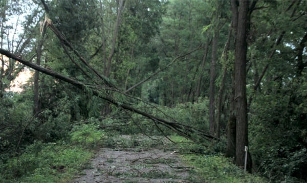 Après les violents orages de samedi denier : le point de situation en Saône-et-Loire