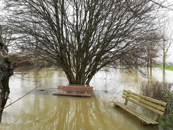 Bonne nouvelle, décrue relevée en amont de Chalon sur Saône. 