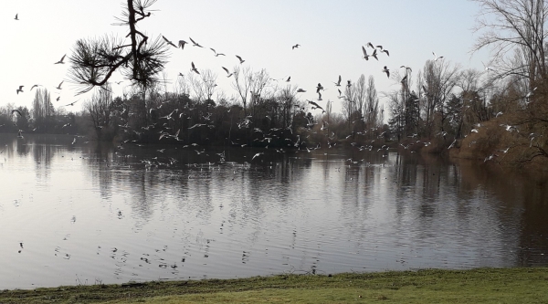 Un air très océanique sur le lac des Près Saint Jean