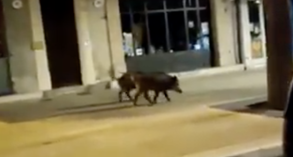 A Nîmes, le couvre-feu ne fait pas que des malheureux