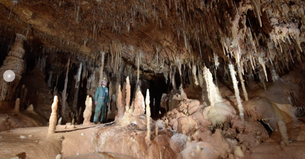 Une découverte exceptionnelle dans le Gard