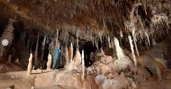 Une découverte exceptionnelle dans le Gard 