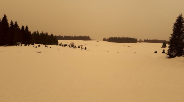 Les poussières de sable du Sahara étaient porteuses de Césium-137, résidu d’anciens essais nucléaires français