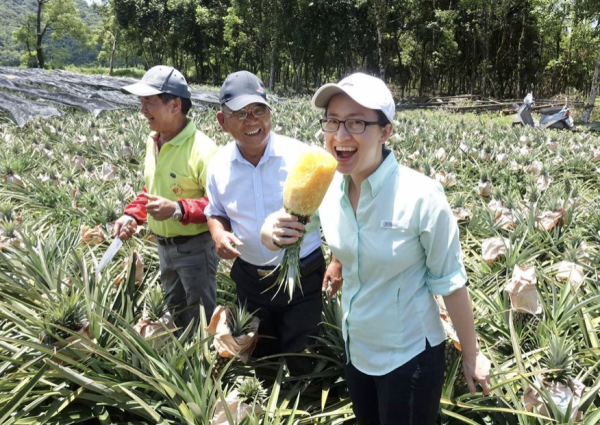 Entre Taïwan et la Chine, la guerre de l'ananas est lancée 