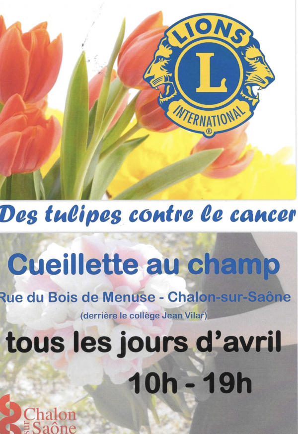 Des Tulipes contre le cancer revient tout le mois d'avril à Chalon sur Saône 