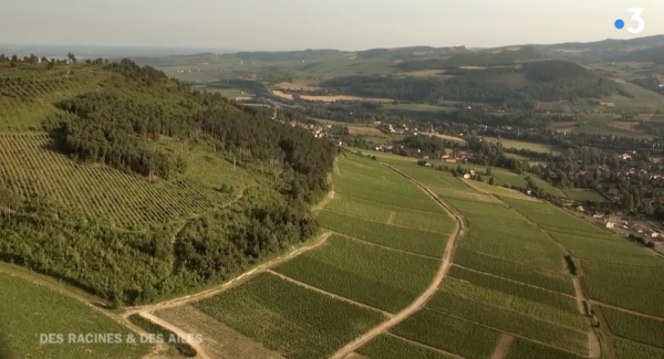 Les Terres de Bourgogne à l'honneur ce mercredi soir dans Des Racines et Des Ailes 