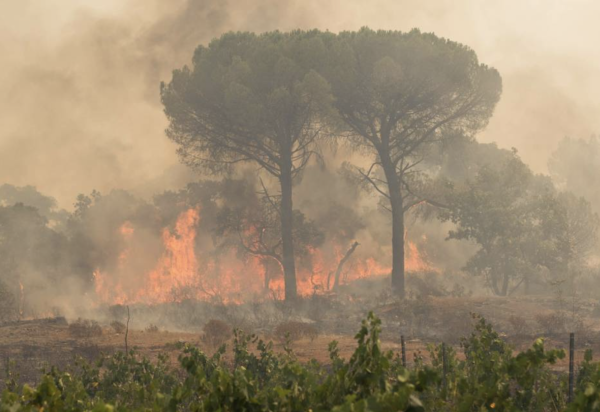 Le feu n'est toujours pas maîtrisé dans le Var après 4000 hectares brûlés