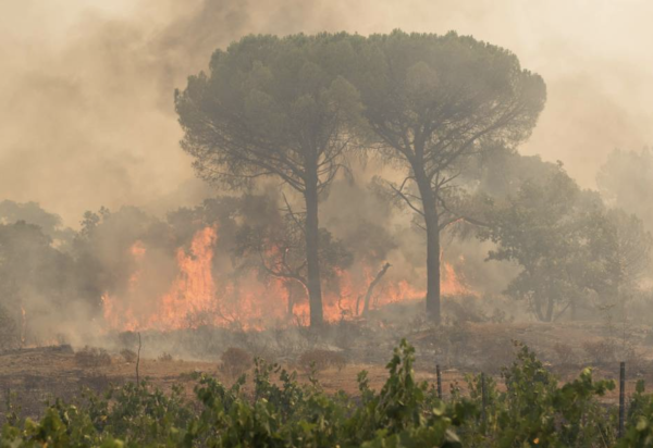 Le feu n'est toujours pas maîtrisé dans le Var après 4000 hectares brûlés 