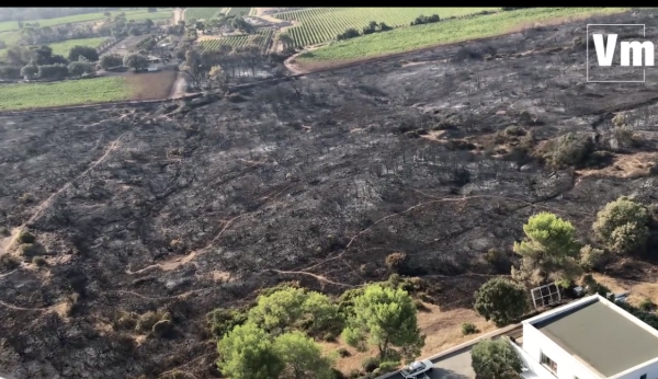 Avec une vue d'hélico, regardez les kilomètres de dévastation laissés par l'incendie dans le massif des Maures