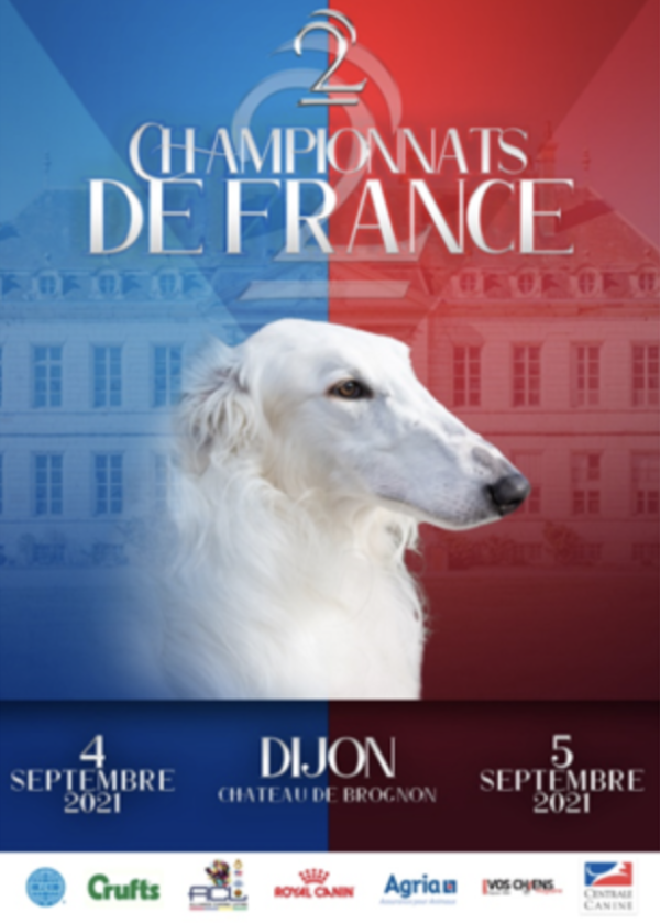 Plus de 10 000 chiens en lice pour le prestigieux Championnat de France du Chien de race