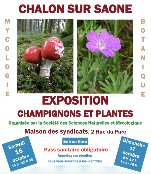 La Société des Sciences Naturelles & Mycologique de Chalon-sur-Saône expose les 16 et 17 octobre 