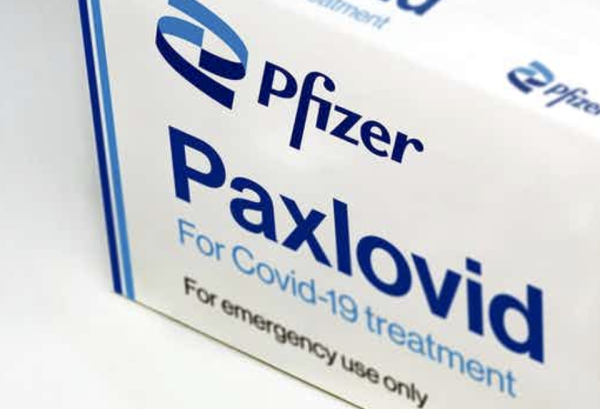 Covid-19 : l'Agence européenne des médicaments approuve l'utilisation du Paxlovid, la pilule contre le Sars-CoV-2 élaborée par Pfizer, en cas d'urgence