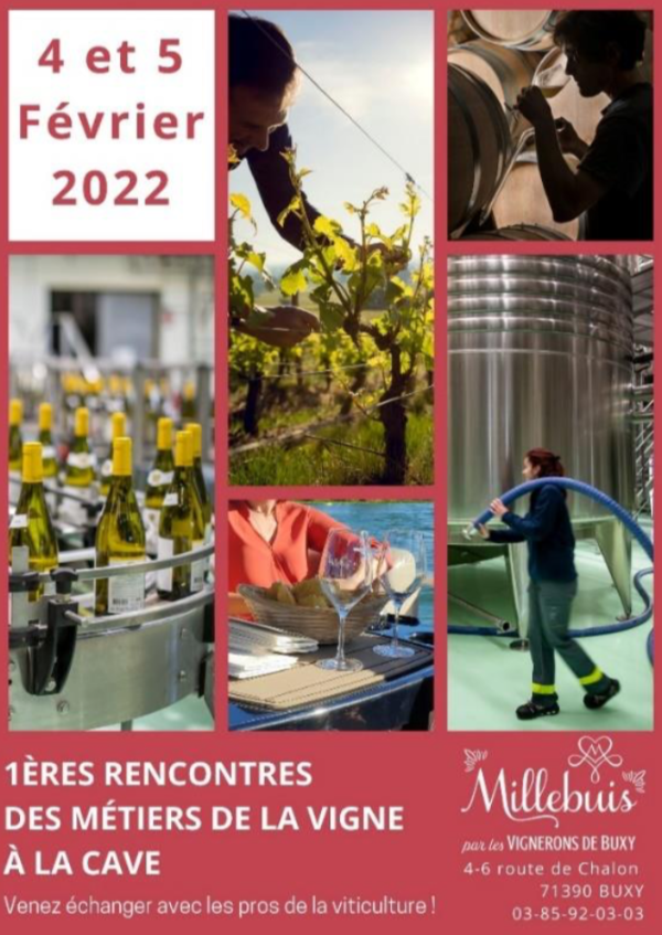 Premières Rencontres des métiers de la Vigne à la Cave chez les Vignerons de Buxy