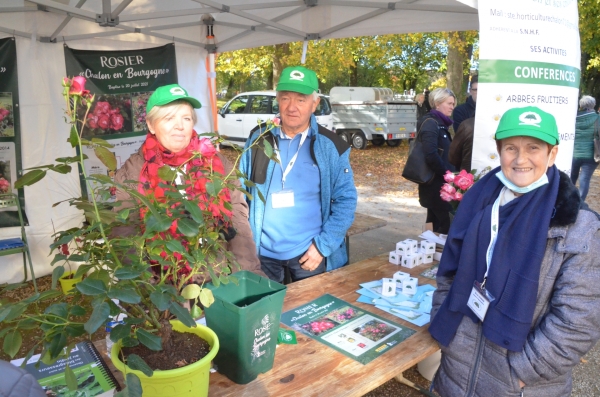 FOIRE AUX PLANTES - Le rosier "Chalon en Bourgogne " est proposé en exclusivité par la Société d'horticulture de Chalon-sur-Saône
