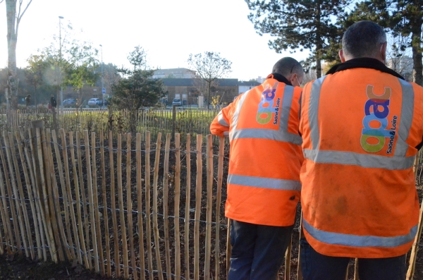 L'OPAC de Saône et Loire entend se servir de sa "forêt urbaine" à Chalon sur Saône  comme une expérimentation 