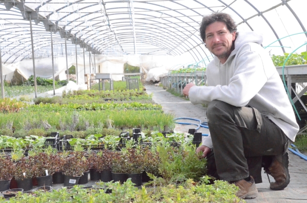 Pour vos plants de légumes et aromatiques BIO, Jérôme Gaudillère vous livre à domicile !