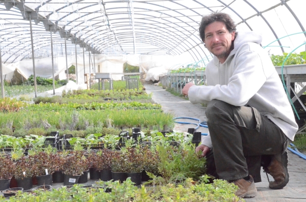 Pour vos plants de légumes et aromatiques BIO, Jérôme Gaudillère vous livre à domicile ! 