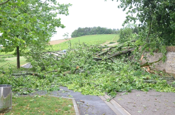 Le bureau de la Sécurité civile et de la défense de Saône et Loire annonce des vents jusqu'à 110 km/h