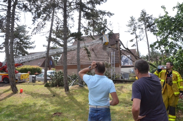 VIOLENT COUP DE VENT - Des arbres couchés et des dégâts  sur Mercurey 