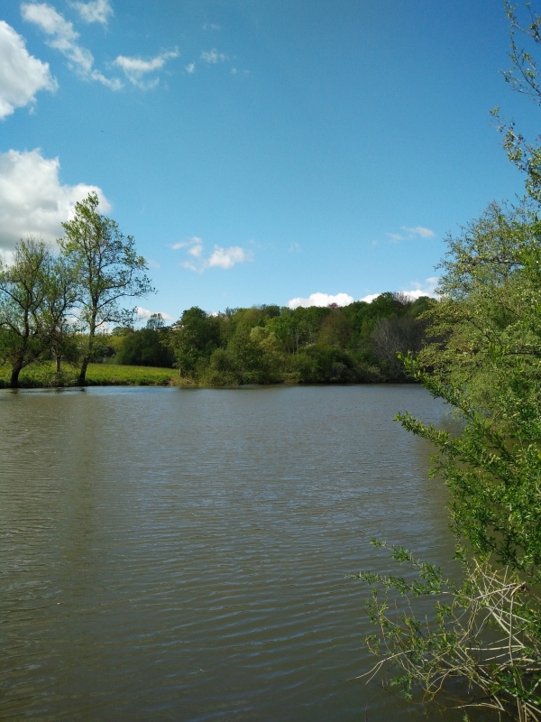 Un circuit cycle-pédestre pas au goût de l'association Ornithologiqe et Mammalogique de Saône-et-Loire