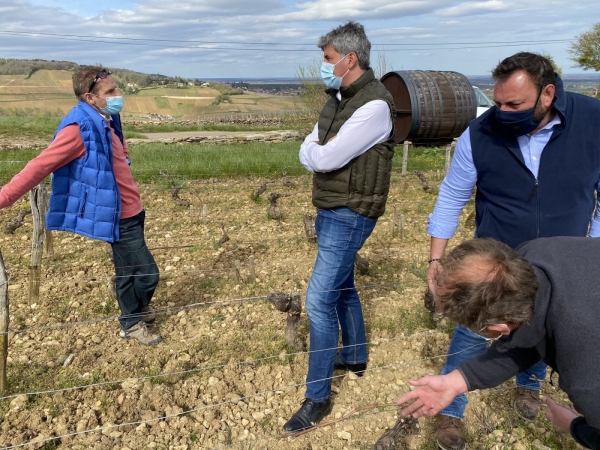 REGIONALES - Gilles Platret est venu sur les coteaux de Montagny prendre la mesure de la situation face au gel de printemps 