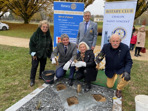 A l’initiative du Rotary et avec le soutien de la Ville un massif de rosiers pour soutenir la cause des abeilles