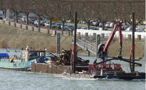 L'heure est au nettoyage de la Saône