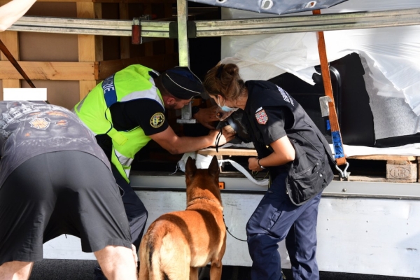  Les gendarmes découvrent plusieurs dizaines de kilos d’herbe de cannabis, d’une valeur de plus de 500.000 euros