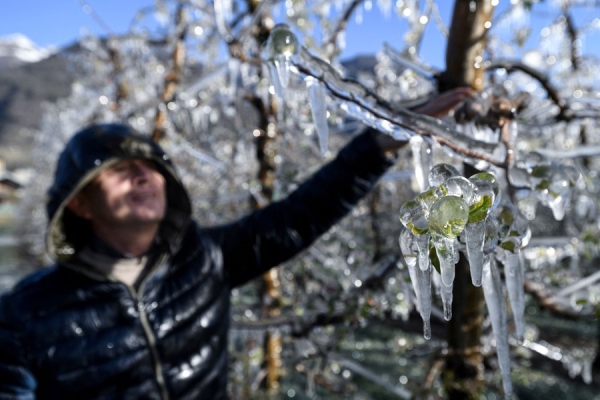 GEL DE PRINTEMPS - Tour d'horizon européen en images 