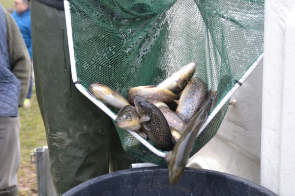 Ouverture de la pêche 2022 : tout ce qu’il faut savoir avant d’aller taquiner truites, ombres ou corégones