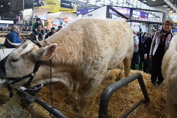 La Bourgogne-Franche Comté à l'honneur au Salon de l'agriculture de Paris