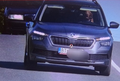 Un chien a été filmé en excès de vitesse au volant d'une voiture