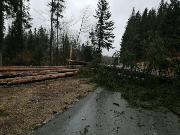 Tempête Ciara en Franche-Comté : arbres couchés, toitures envolées, 7.550 foyers privés d'électricité