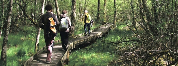 Les balades au parc régional du Morvan jusqu’au 15 août