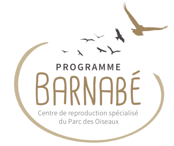 Le Parc des Oiseaux lance un financement participatif pour la réalisation du Programme Barnabé, son futur Centre de reproduction spécialisé d’espèces menacées