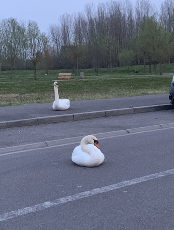 La photo insolite du jour adressée par les lecteurs d'info-chalon.com