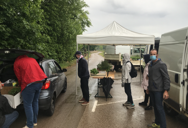 A Mercurey, les élus ont donné la main pour écouler les plants de légumes locaux