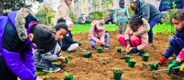 Une forêt gourmande à Chalon ! Un projet chalonnais va se concrétiser : la plantation d'une forêt nourricière !