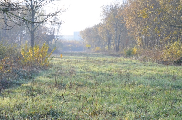 Le premier parc photovoltaïque du Grand Chalon est sur les rails