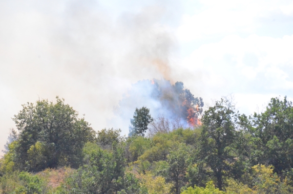 Plusieurs départs de feu sur les hauteurs de Mercurey et Saint Martin sous Montaigu