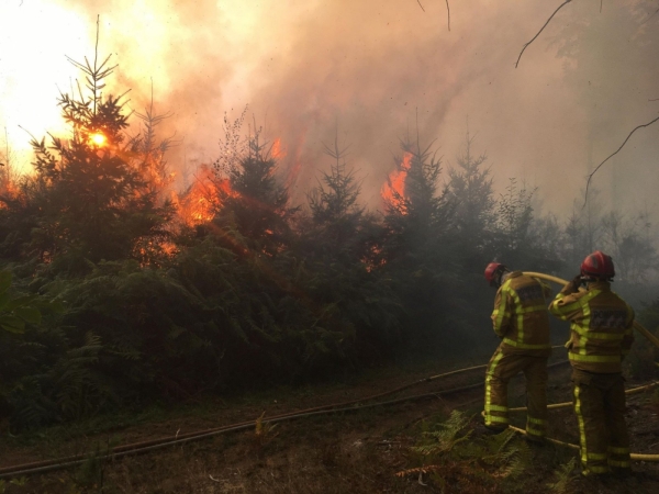  Au moins 8 ha de champs et 10 ha de forêt détruits dans un violent incendie dans le Morvan