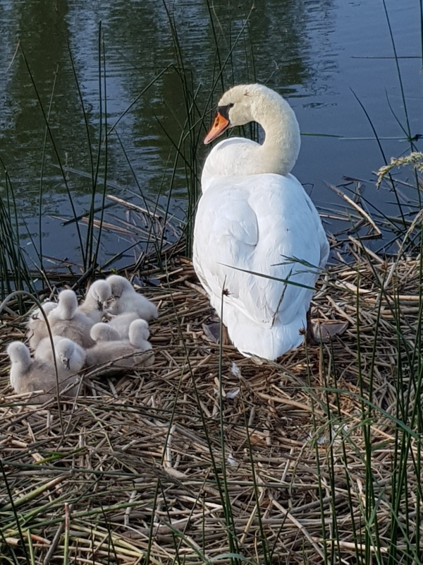 Le clin d'œil du jour sur info-chalon.com