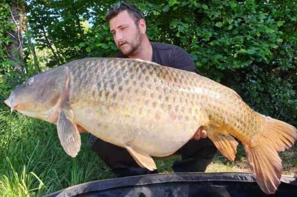 Pêche XXL pour Mickaël dans le Canal du Centre 