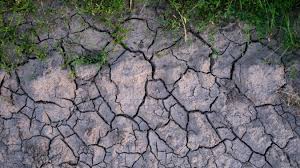 Sécheresse 2018 - Reconnaissance de l'état de catastrophe naturelle en Saône et Loire