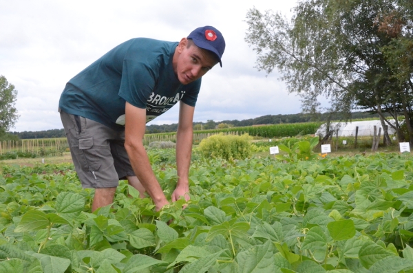 Et si vous vous laissiez tenter par les légumes produits par  Théo ? 