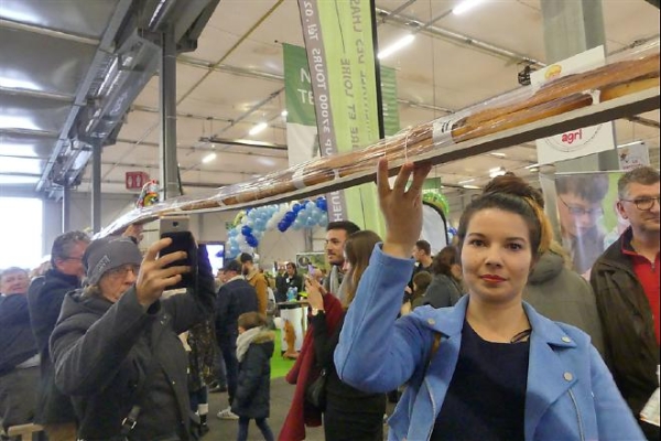 Record du monde ! Tours bat Le Mans avec un sandwich aux rillettes de 74m40