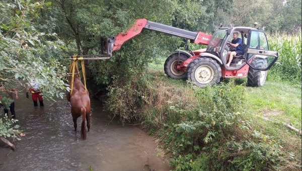 Les pompiers au secours d'un cheval tombé dans la rivière à Saint Gervais en Vallière 