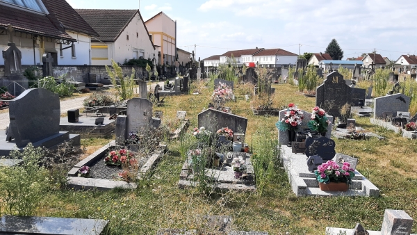 "Cimetiere abandonné ? Non, il s agit bien du cimetière de l'ouest avenue Boucicaut" s'étonne un fidèle d'info-chalon.com 