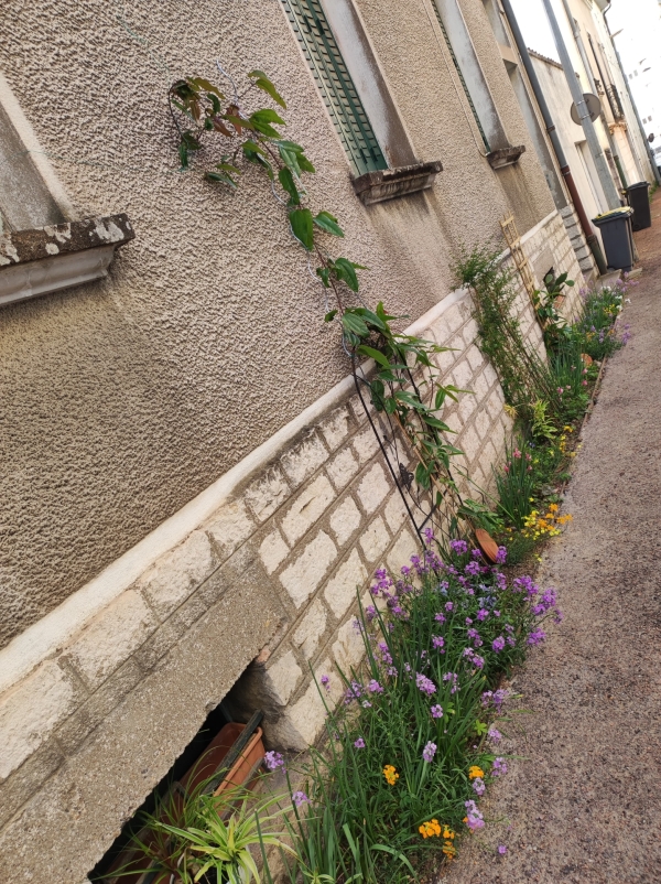 Du côté de la rue de Dijon... le coup de coeur d'info-chalon.com 